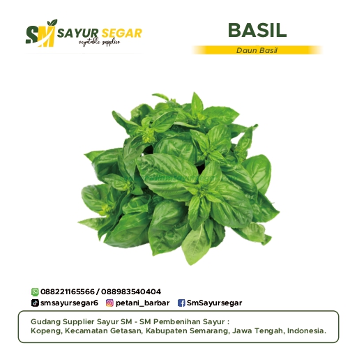 Basil