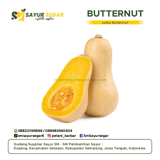 Butternut