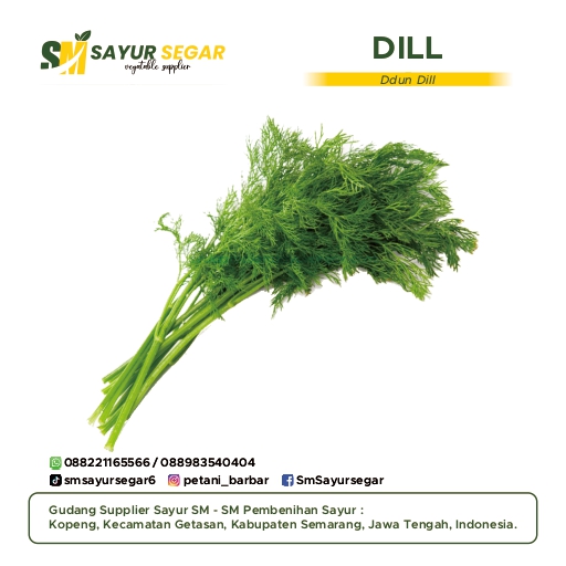 Dill
