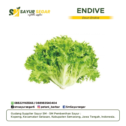 Endive