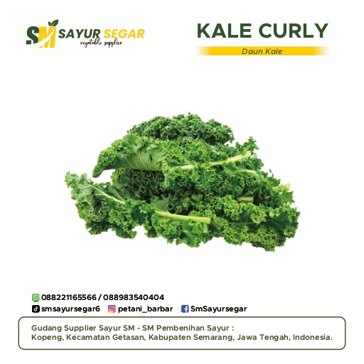 Kale Curly