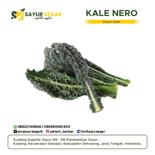 Kale Nero