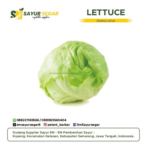 Lettuce
