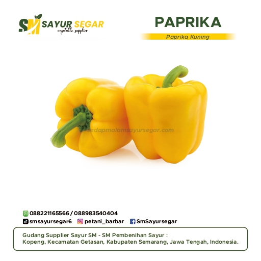 Paprika Kuning