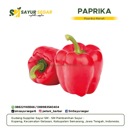 Paprika Merah