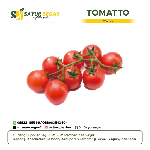 Tomat Cery