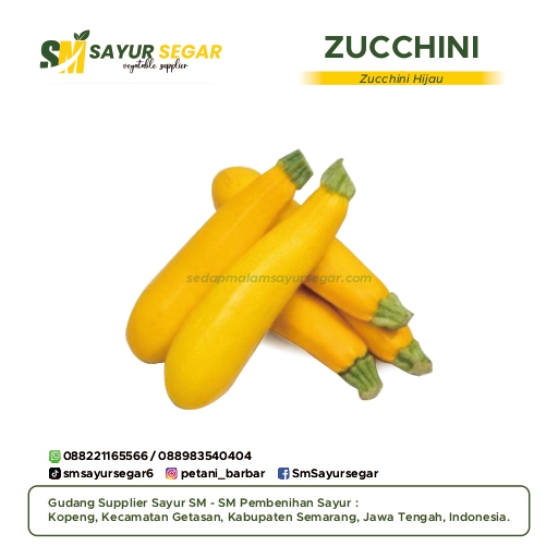 Zucchini Kuning