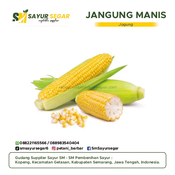 Jagung Manis