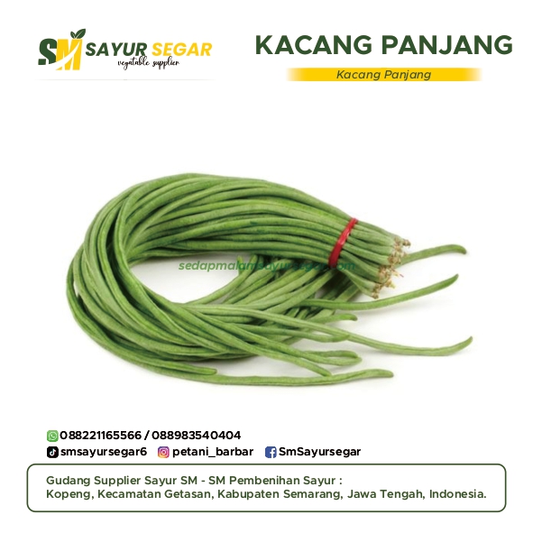 Kacang Panjang