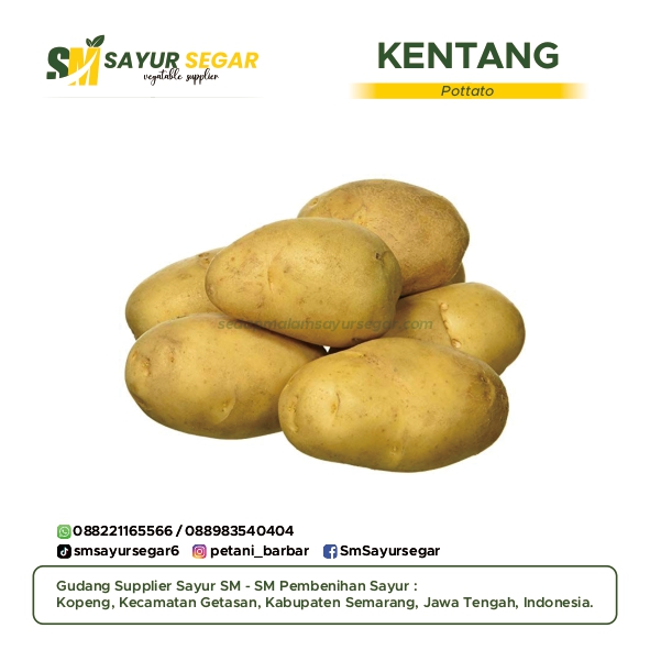 Kentang