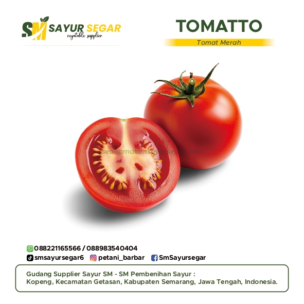 Tomat Buah